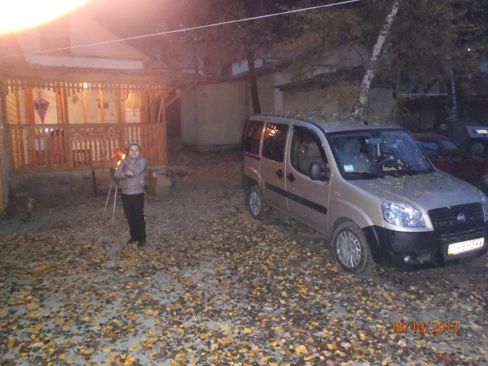 в лісі були 4