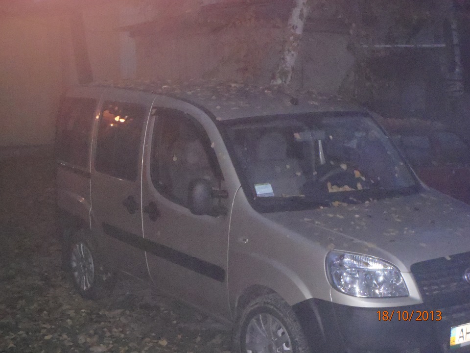 в лісі були 5