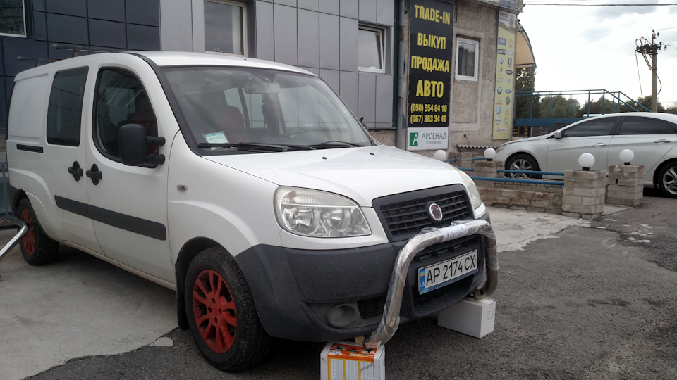 Трохи побавився з кенгурятниками. Думаю ставити чи ні. 2