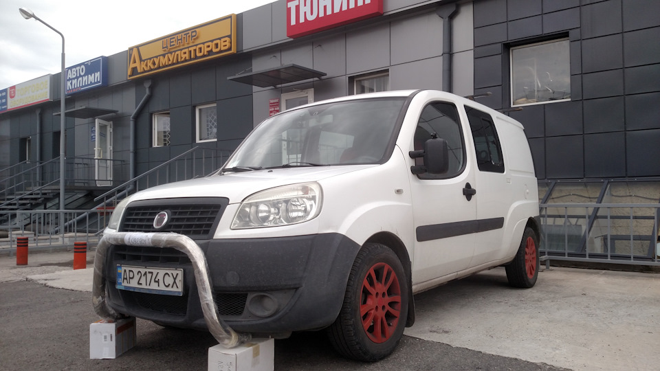Трохи побавився з кенгурятниками. Думаю ставити чи ні. 4