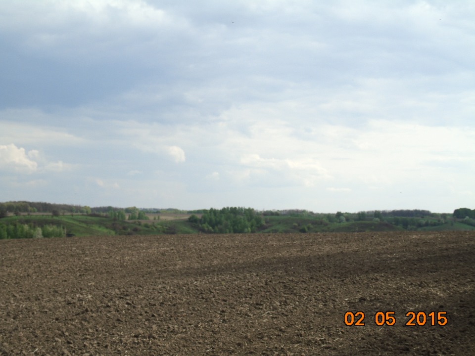 На природі 2