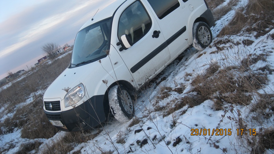 Зробив пару фоток 2