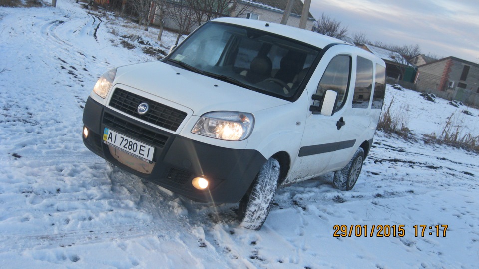Зробив пару фоток 5