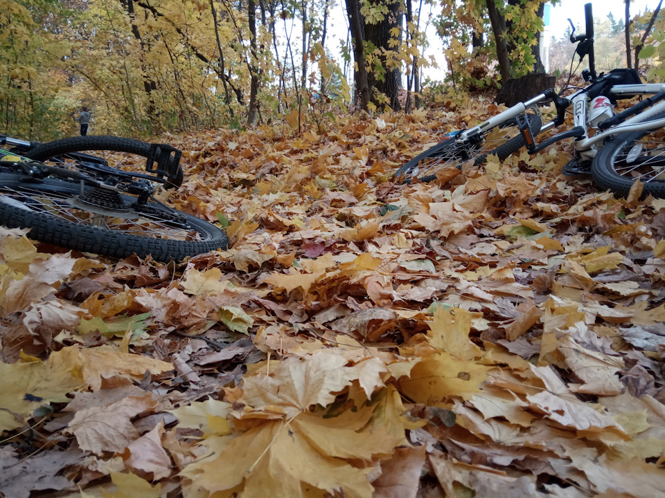 Запис, 21 жовтня 2018 3