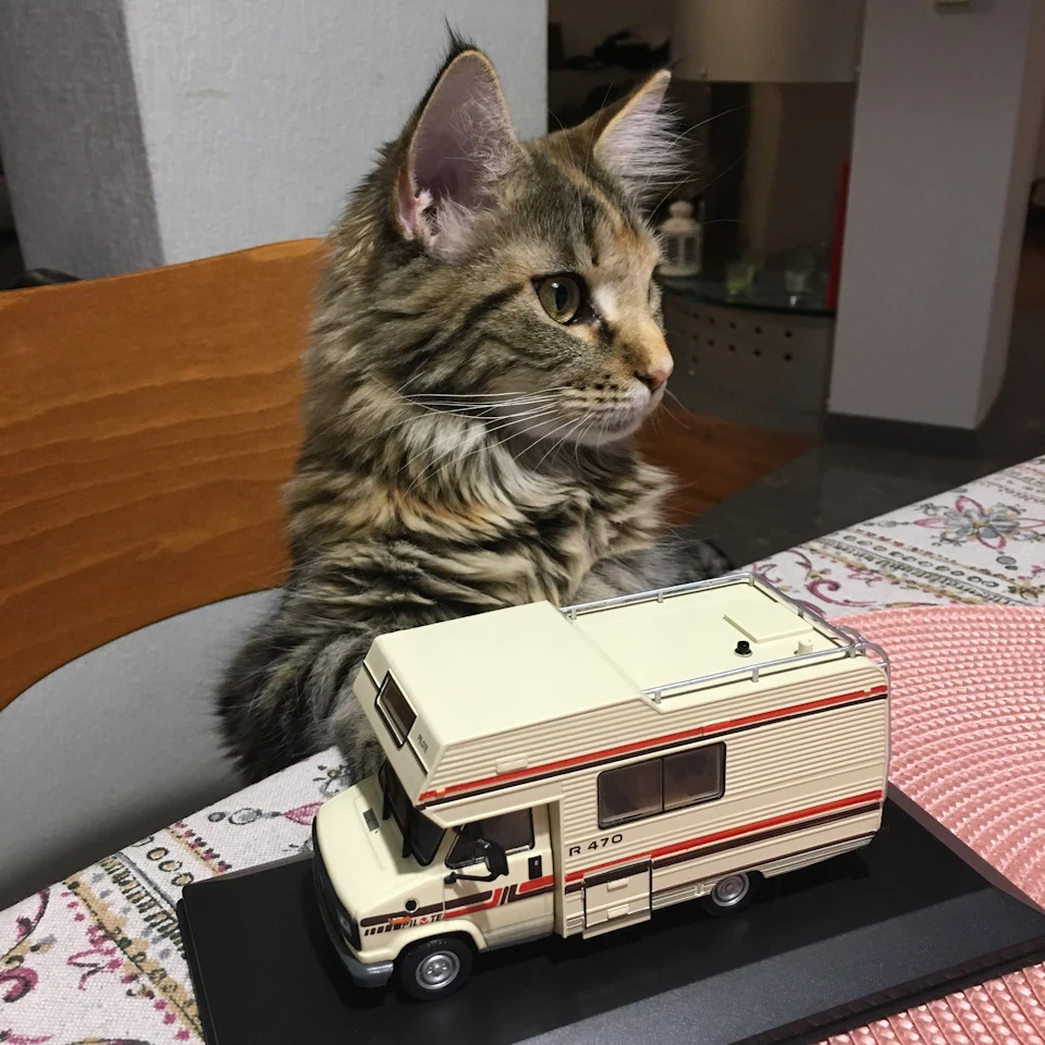 А ось і дід мого кемпера)