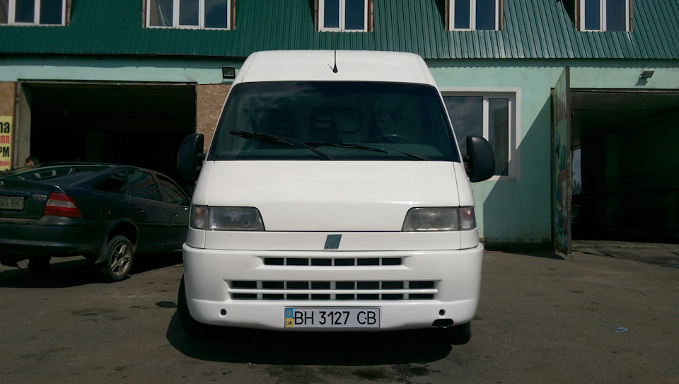 Барбос, після миття! 2