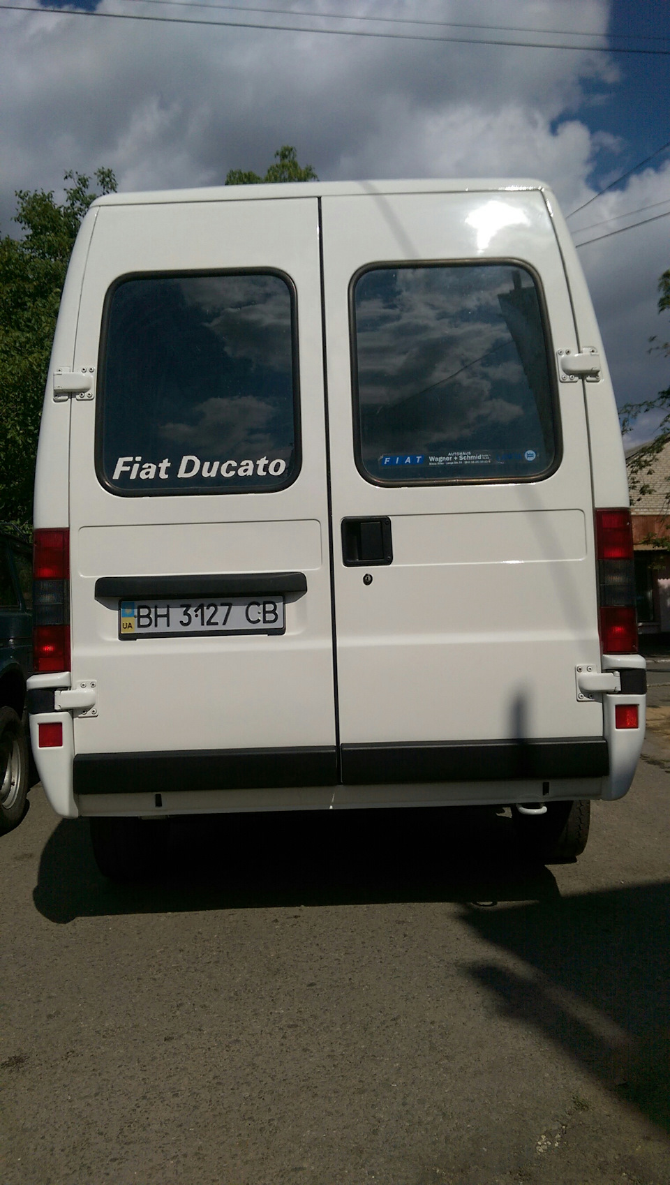 Барбос, після миття! 4