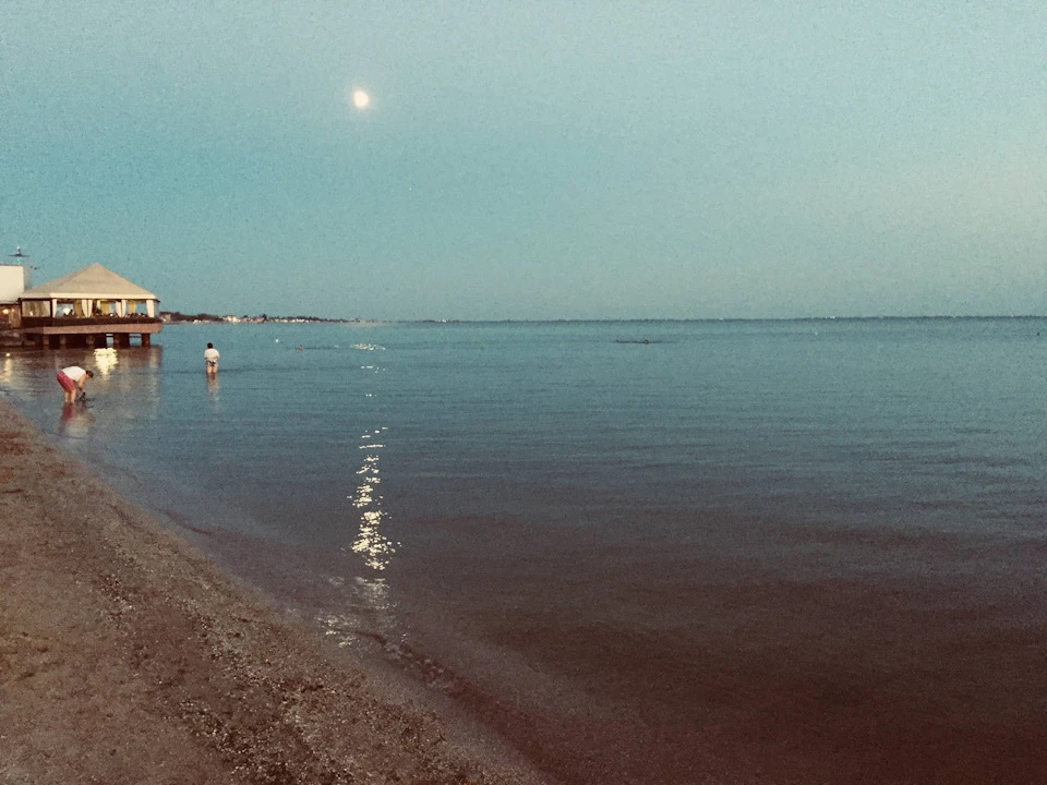 Повторний марш-кидок Харків-Бердянськ-Харків.