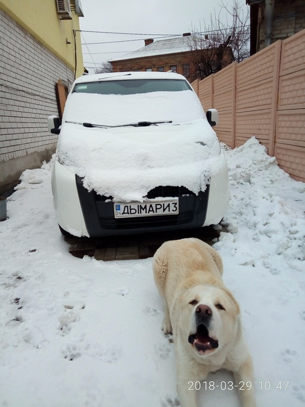 Альо, небо? 2