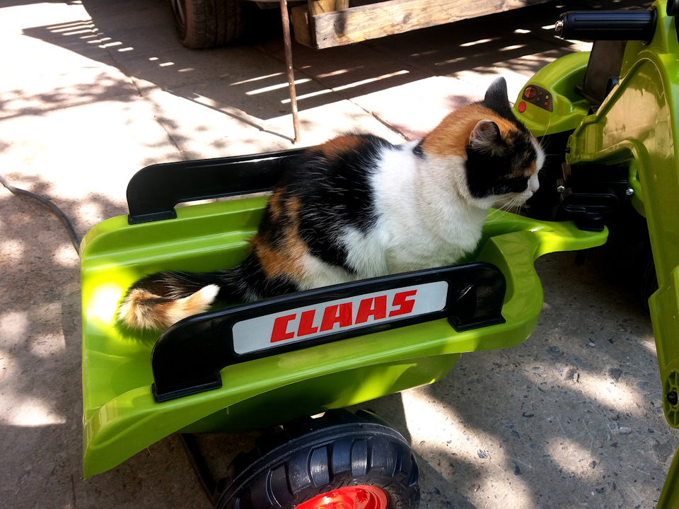 Купівля трактора Claas 4