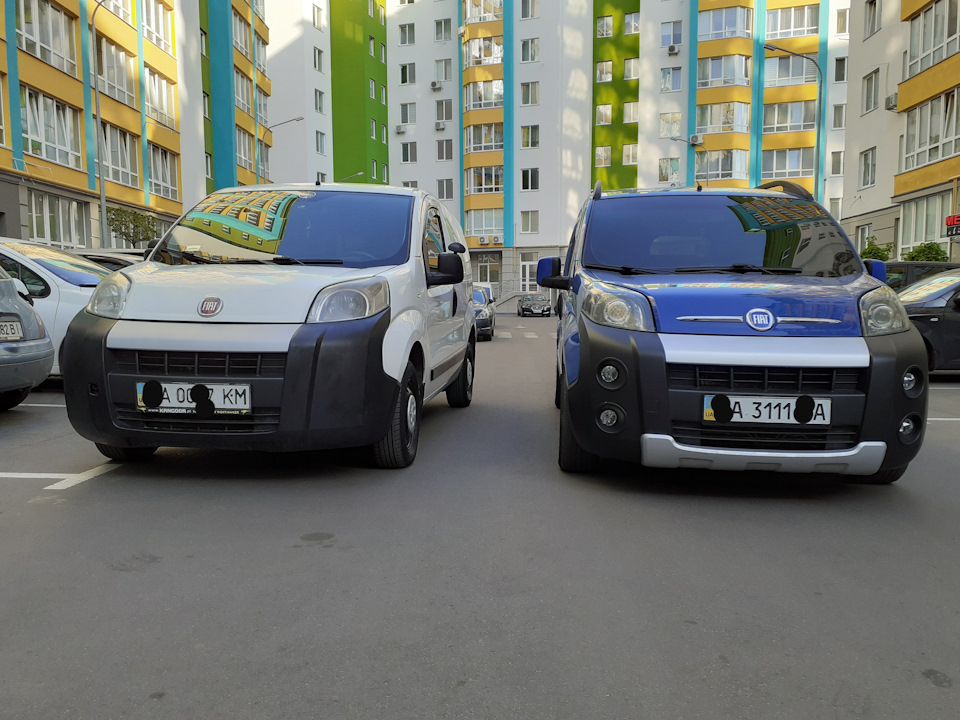 Мийка чухоні та спільні фото 2