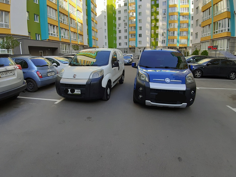 Мийка чухоні та спільні фото 5