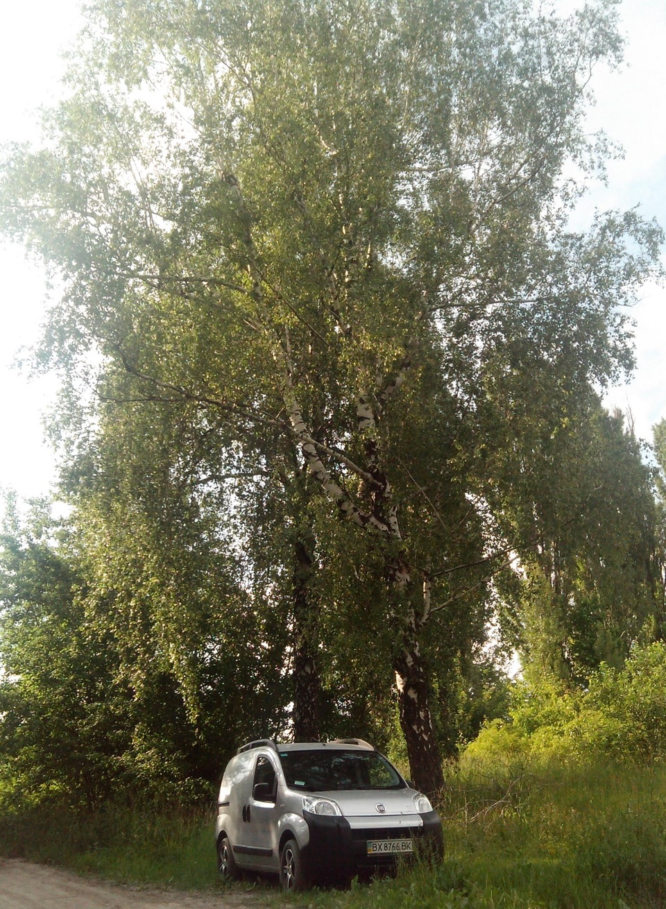 VAN на природе 1