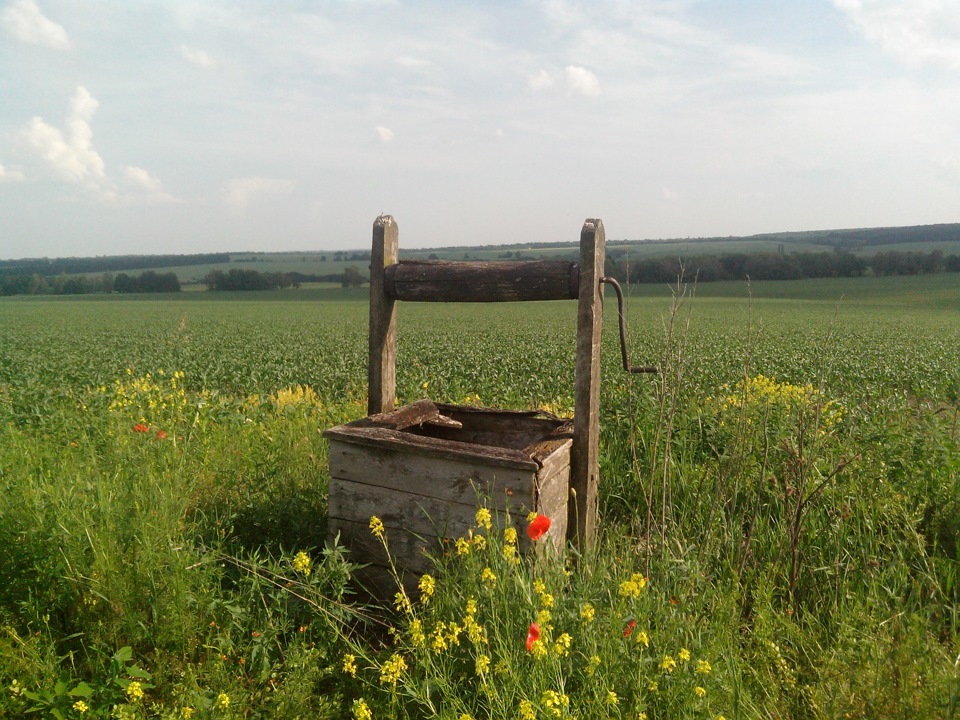 VAN на природе 4