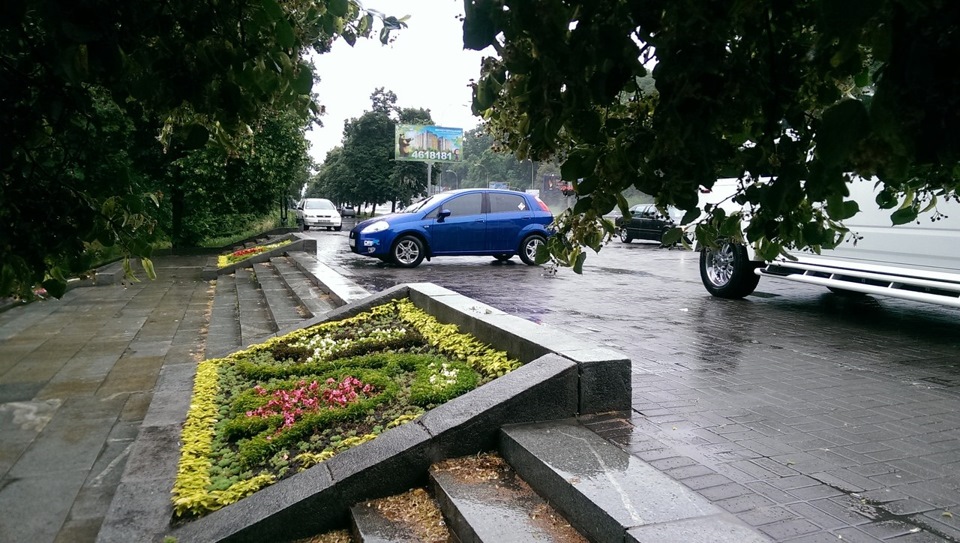 Минуло пів року 2