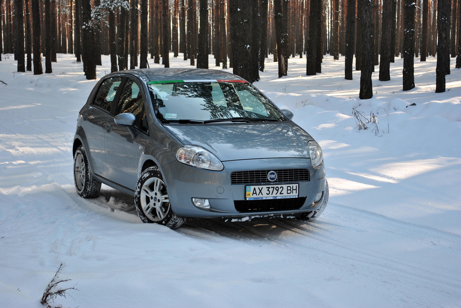 Перший запис цієї зими або зимовий ліс 4