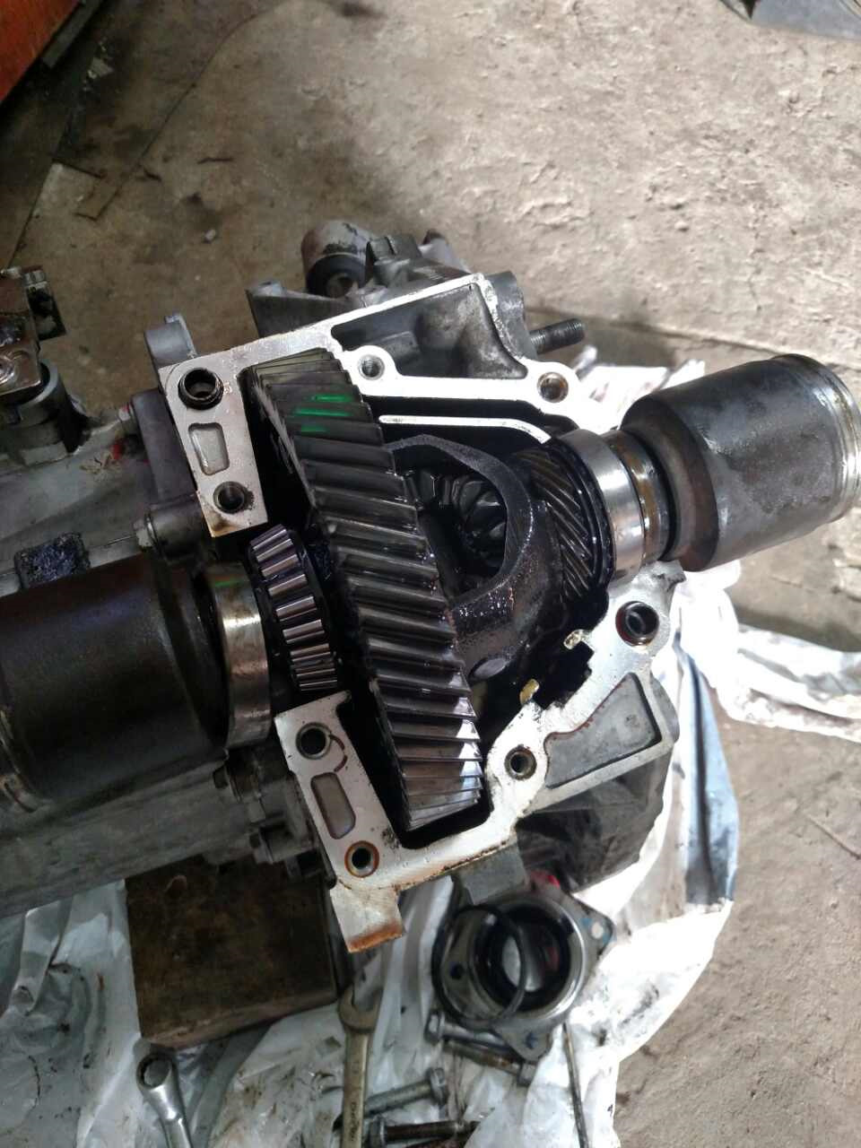 Biggg Пачінілки ч.2 5