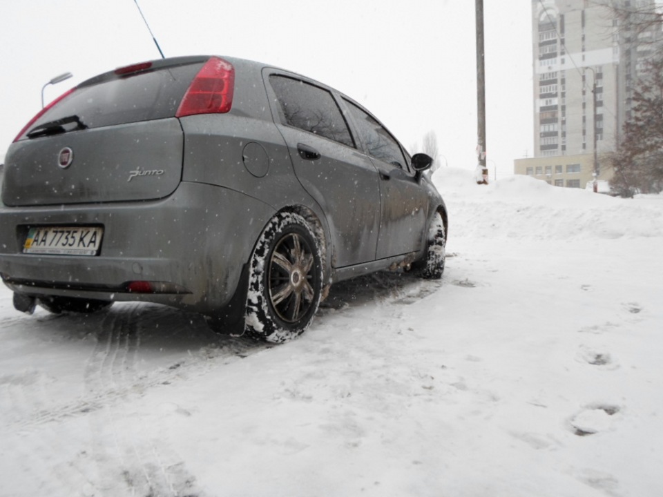 Фото (зима) 1