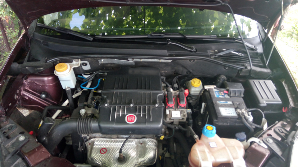 Cleaning windshield water tray 1