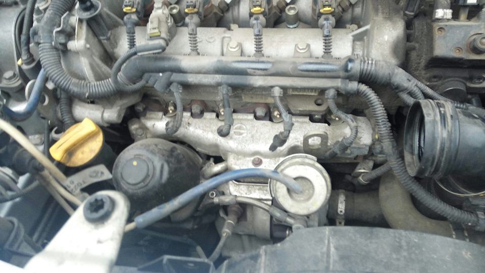 Check! (glow plugs) 1