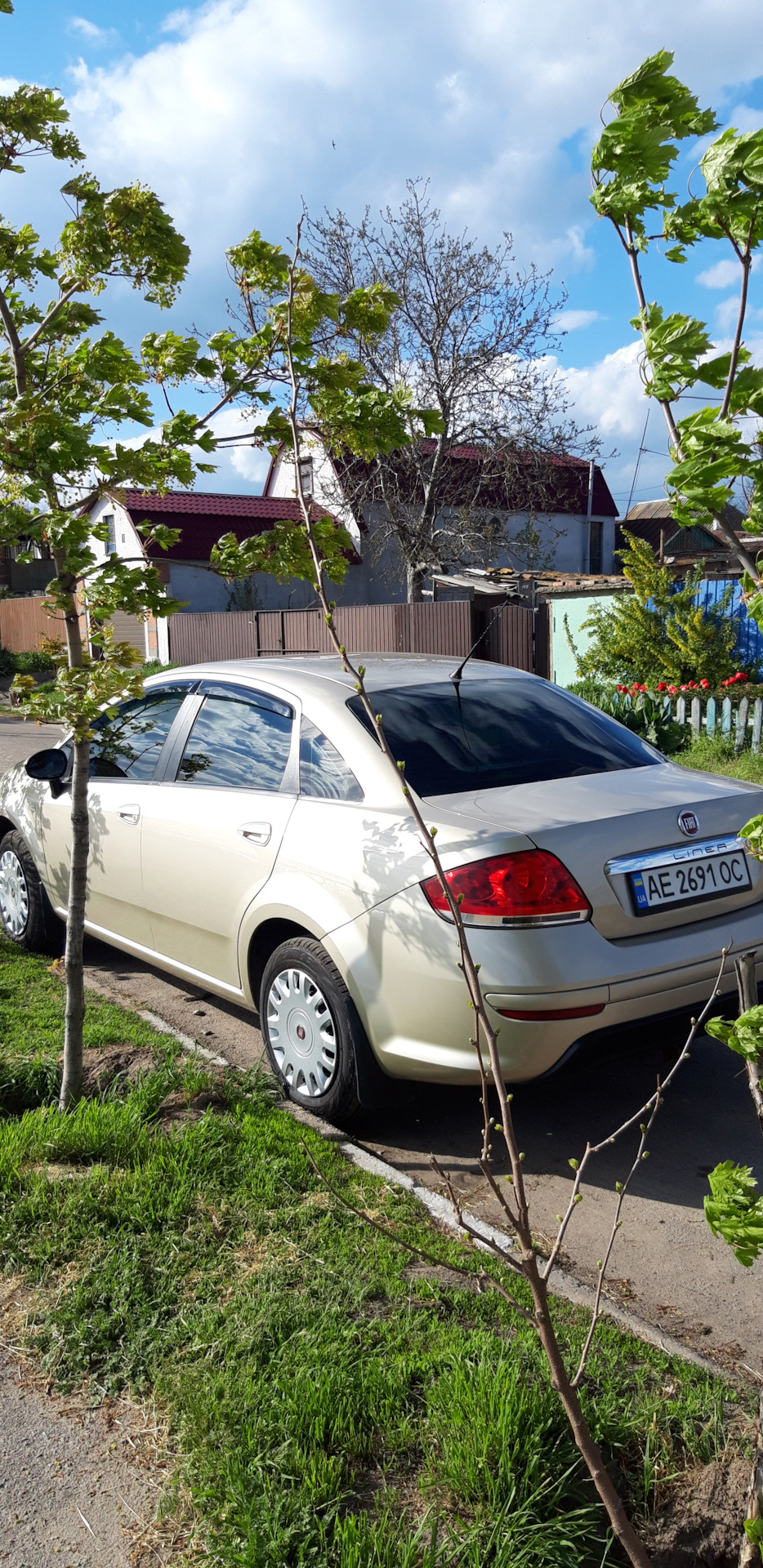 Підсумки володіння Fiat Linea 1.4 77Hp (1 рік) 2