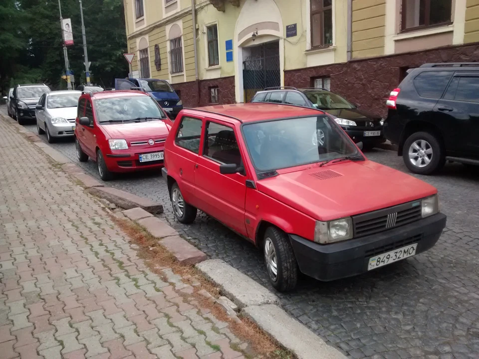 Зустріч молодшого побратима в колір)