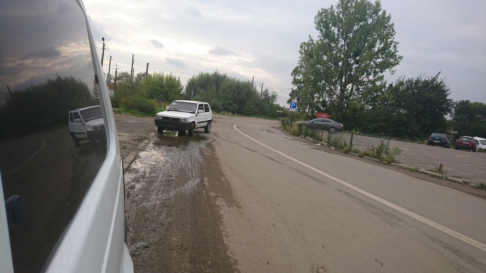 Покупка панди 3