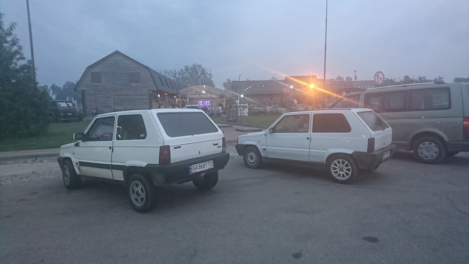 Покупка панди 4