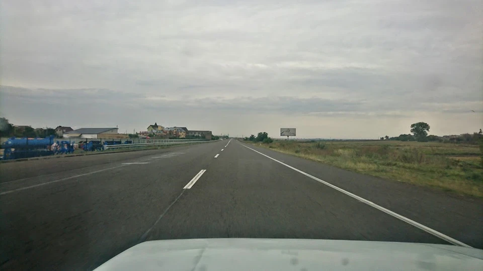 Покупка панди