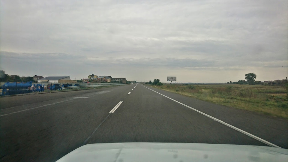 Покупка панди 1