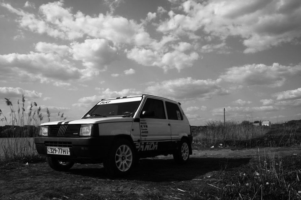 Повсякденність ведмедика. 2