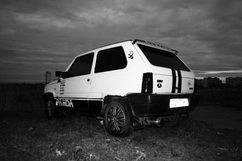 White & Black 5