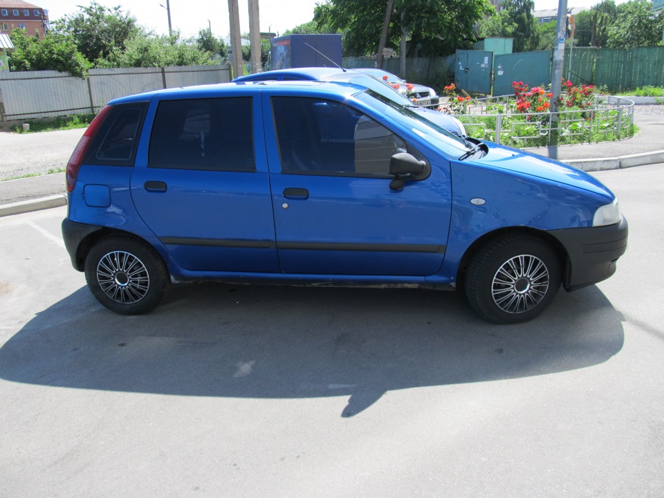 Продаю Пунтика! 4