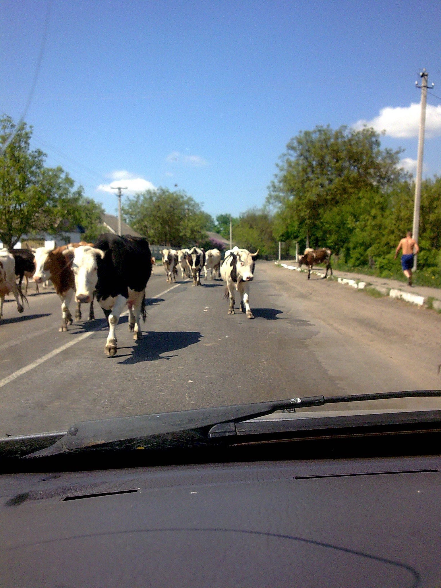 музика, підготовка 3