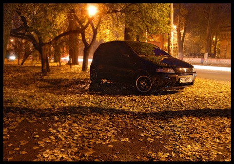 Невелика фотосесія у парку) 5