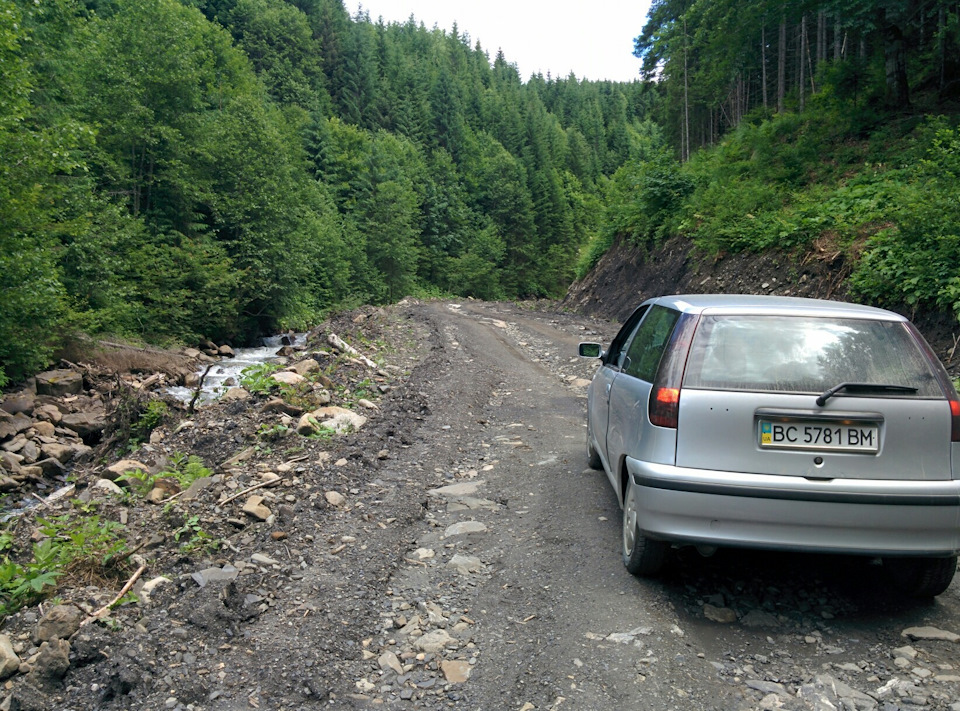 І знову Карпати… 5
