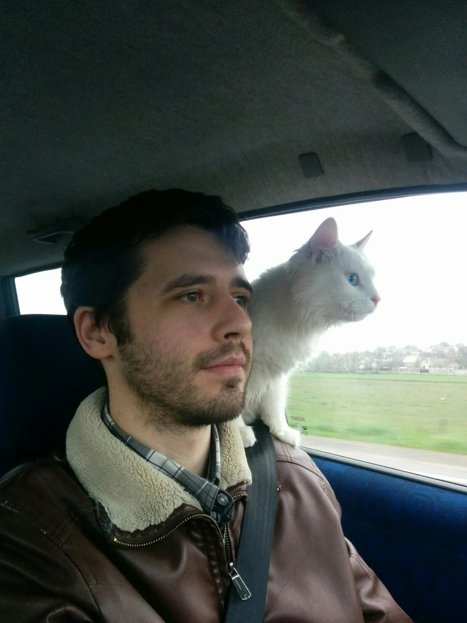 Карпати і АВТОДОР