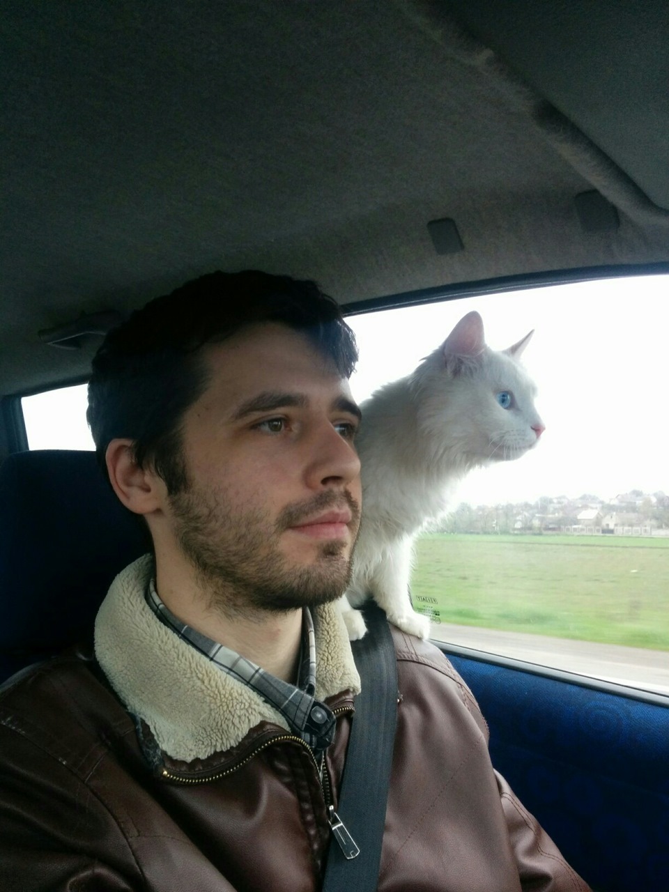 Карпати і АВТОДОР 1
