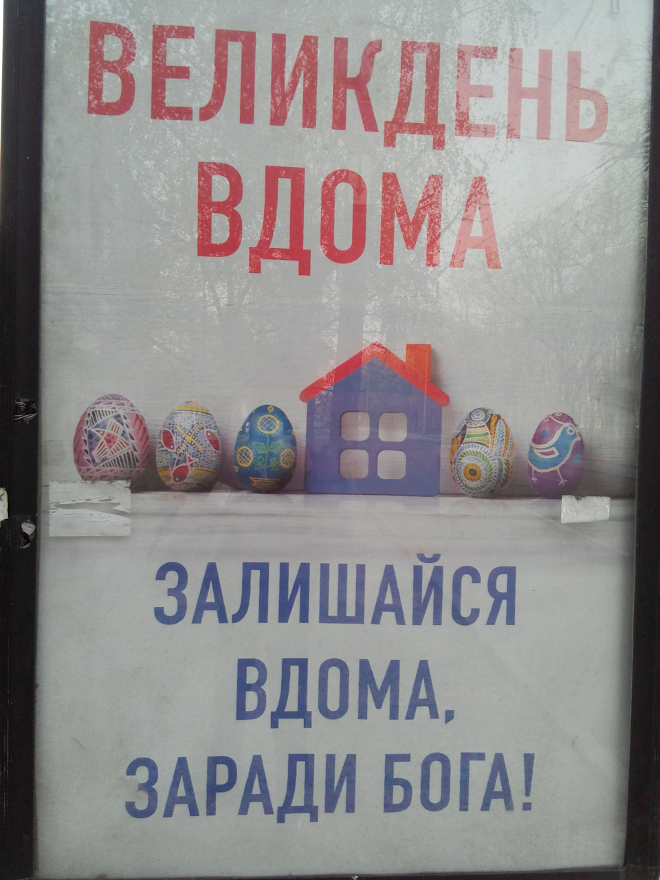 карантин 1