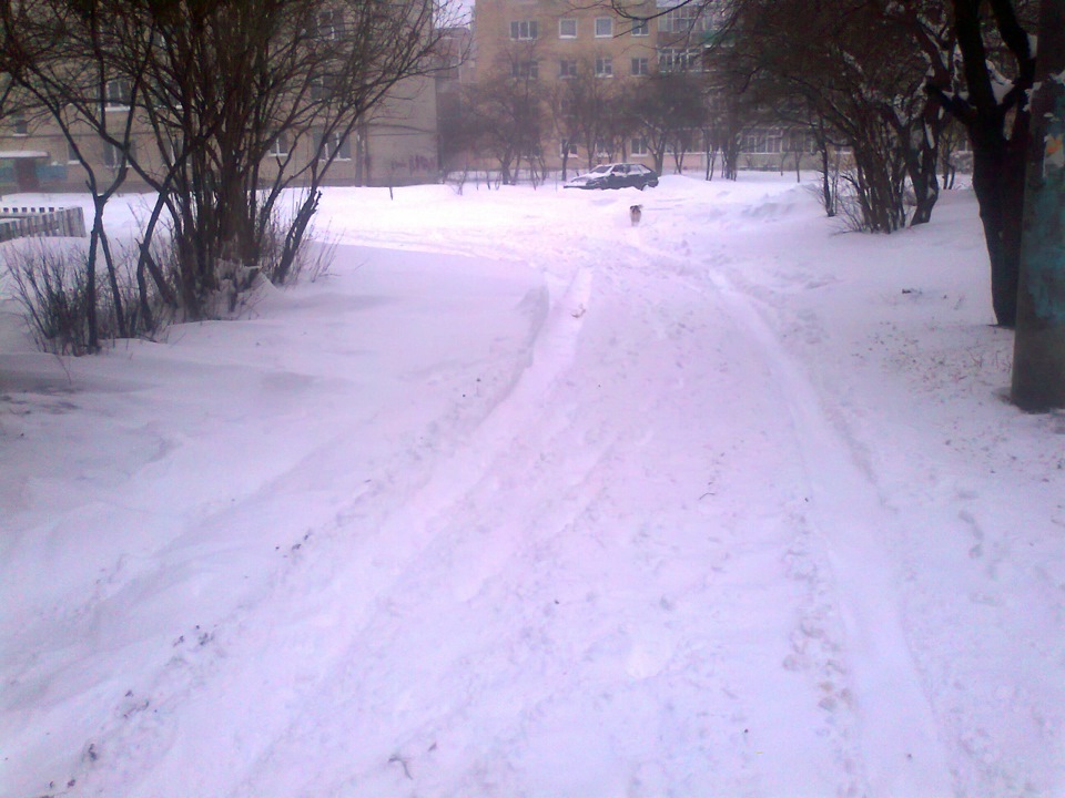Весна))) 4
