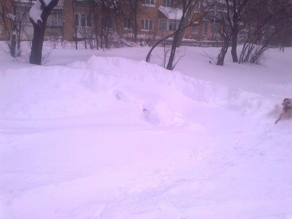Весна))) 5