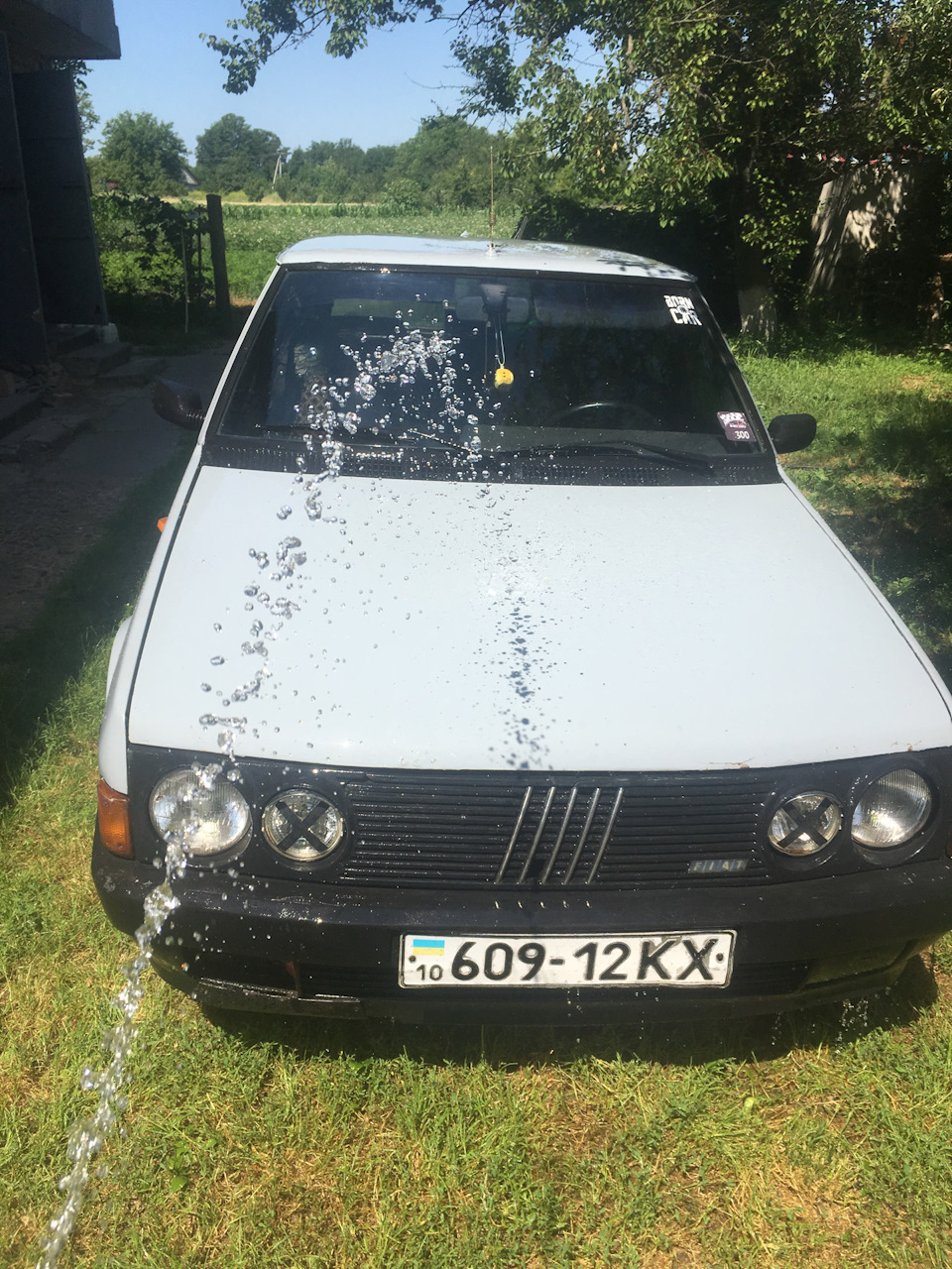 Ми живі 4