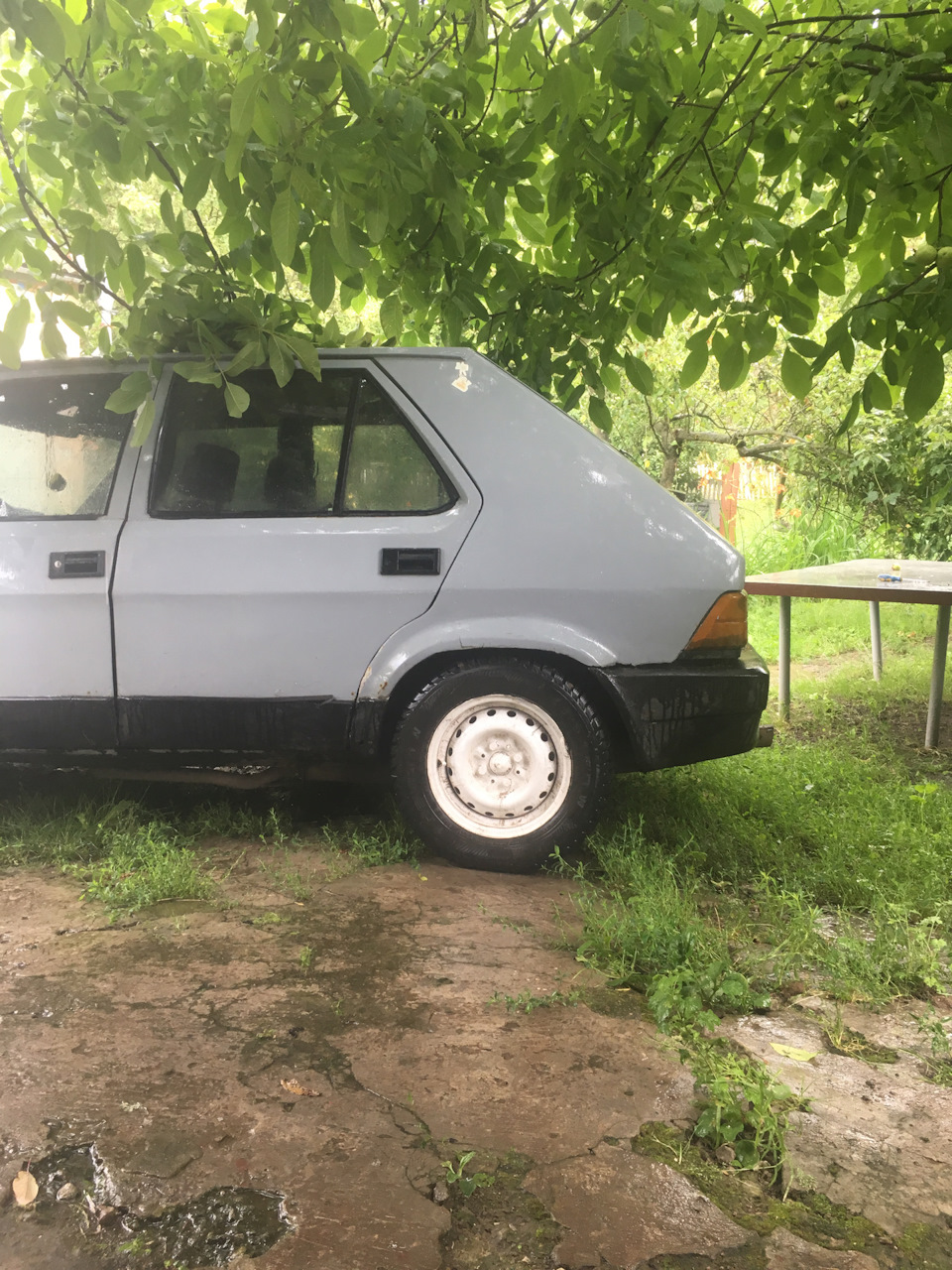 Ми живі 3