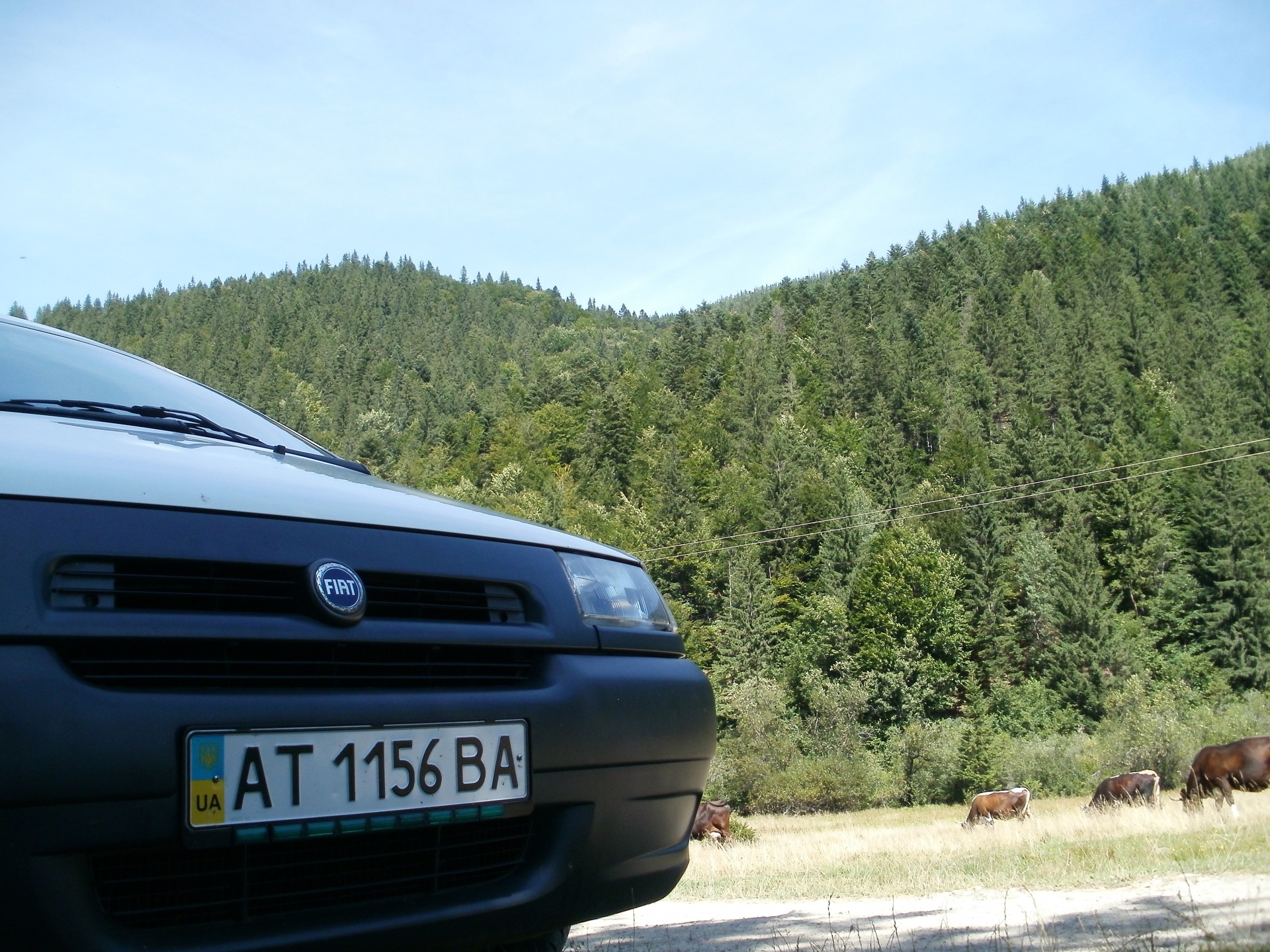 Карпати ) 4