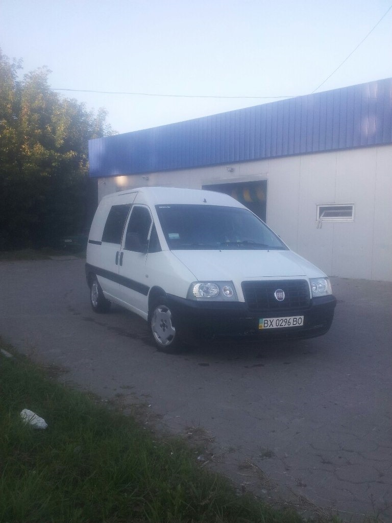 Помив ластівку 5