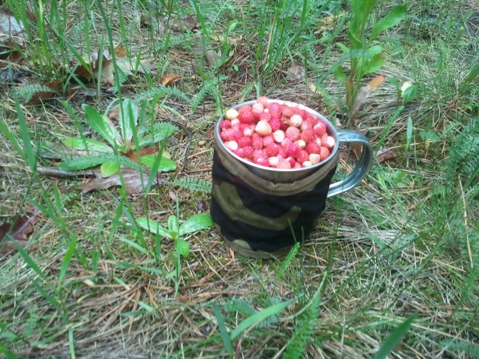 вихідний 4