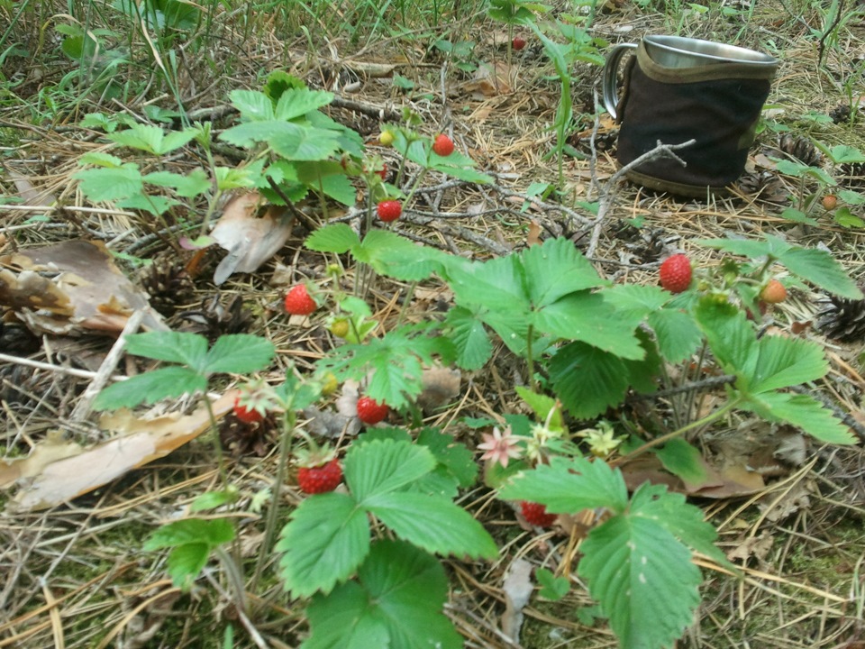 хороша погода 2