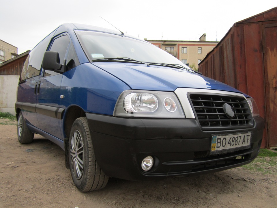 ФОТО Свіжі 1