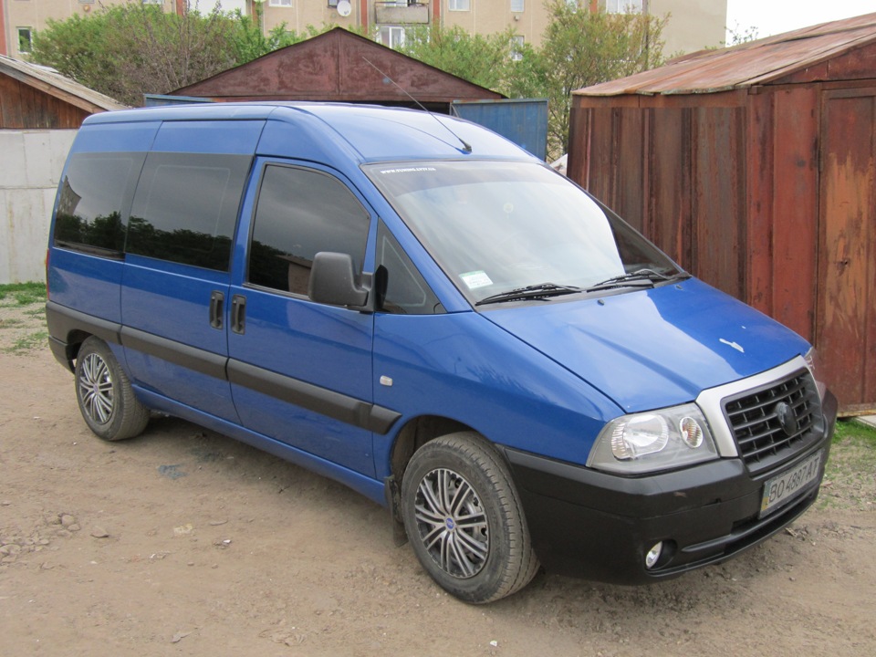 ФОТО Свіжі 5