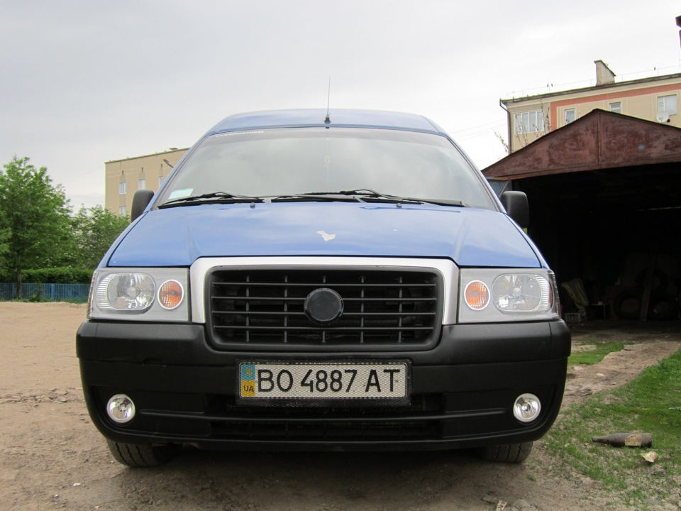ФОТО Свіжі 3